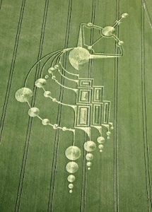 Crop Circle representing The Greys 5 Hybrid Races including Bashars